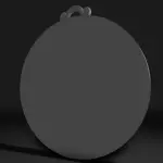 Memorabilia - Picture or Coin