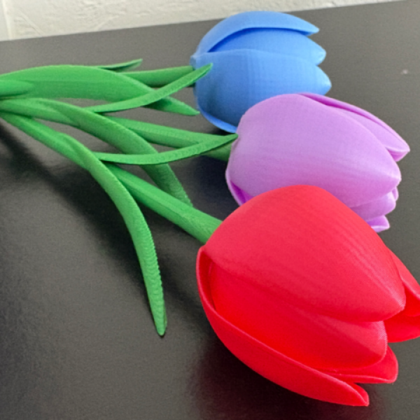 Everlasting Tulips – Faux Floral