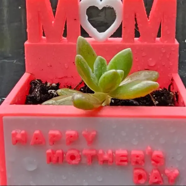 Petals for Mom:  "MOM" Planter Box
