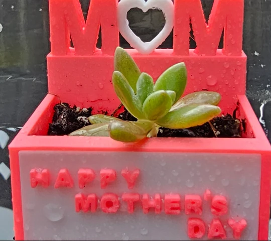 Petals for Mom:  "MOM" Planter Box